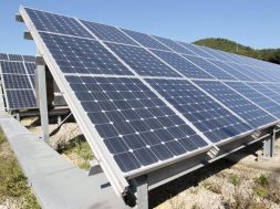 Gujarat finds solar tariffs high, cancels auction