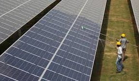 Sterling and Wilson Solar raises Rs 1,406 crore from anchor investors