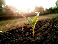 UN Climate Action Summit