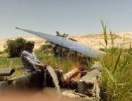IFC, Agricultural Bank of Egypt partner to promote farmers’ switch to solar irrigation systems