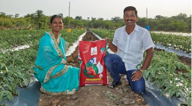 ADB Supports Food Security in India Through Investments in Soil Nutrition And Climate-Resilient Farming