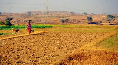 Tamil Nadu, India Takes an Innovative Approach to Climate Adaptation