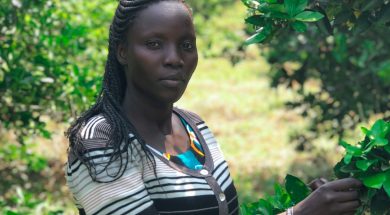 Anchor Investments Announced to Launch $2 Billion Fund for Locally-Led Restoration in Africa