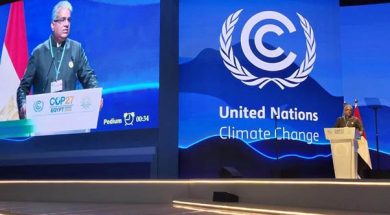 India delivers National Statement at COP 27