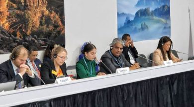 LeadIT Summit 2022 hosted by India and Sweden at COP27, Sharm El Sheikh, Egypt