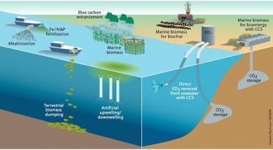 Ocean-based Carbon Dioxide Removal 6 Key Questions, Answered