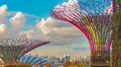 Toward a sustainable, inclusive, growing future The role of business