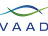 Avaada Logo