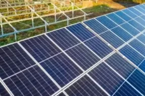 schwing-stetter-india-sets-up-1-mw-solar-power-unit-in-tn