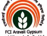 FAGMIL-GYPSUM-AND-MINERALS-INDIA-LIMITED_FCI-Aravali-Gypsum-Minerals-India-Limited_DFERT