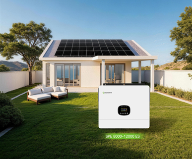 Growatt SPE Hybrid Inverters: Powering Reliable Homes Across India – EQ