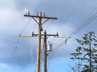 local transmission_LT_Logo