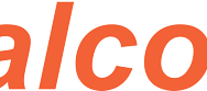 Calcom Vision_CV_Logo 1