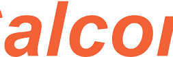 Calcom Vision_CV_Logo 1
